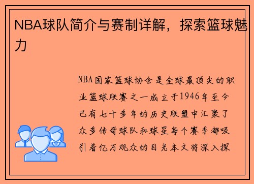 NBA球队简介与赛制详解，探索篮球魅力