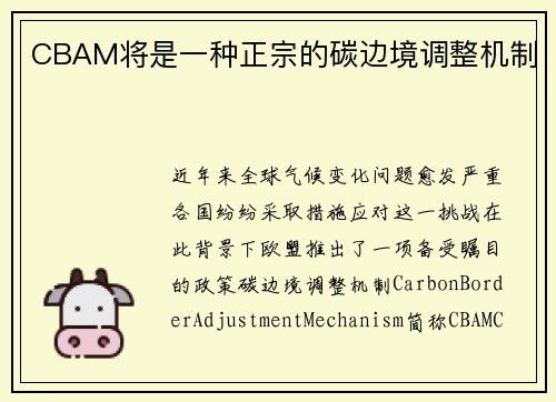 CBAM将是一种正宗的碳边境调整机制